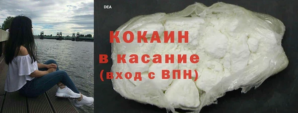 индика Абинск