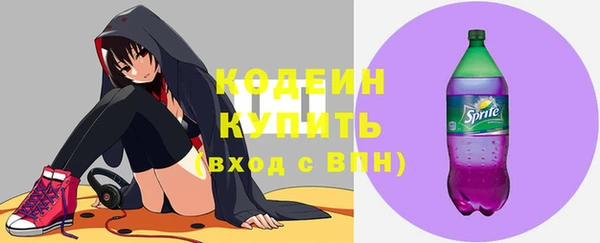 спайс Каменка