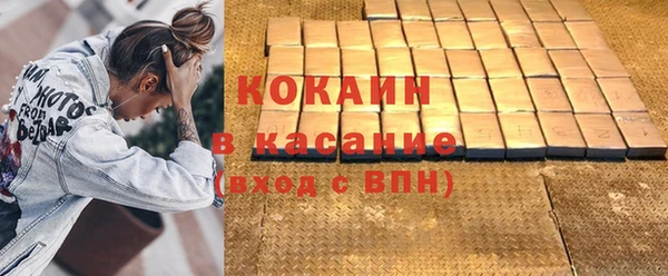 индика Абинск