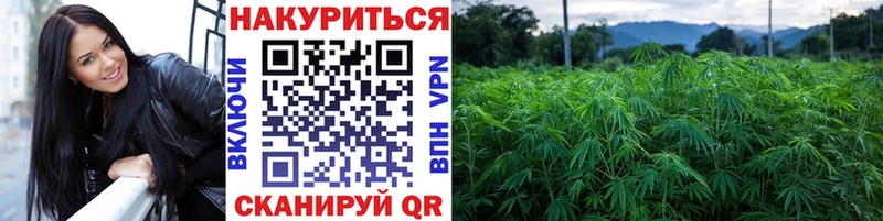 Конопля ГИДРОПОН  Казань 